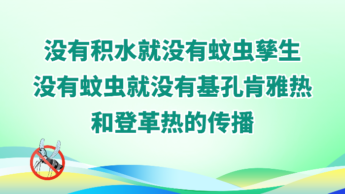 3.没有积水就没有蚊虫孳生，没有蚊虫就没有基孔肯雅热和登革热的传播.png