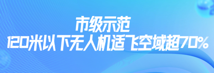 市级示范.png