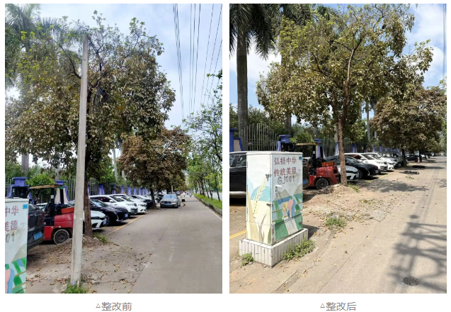 阜沙2.png